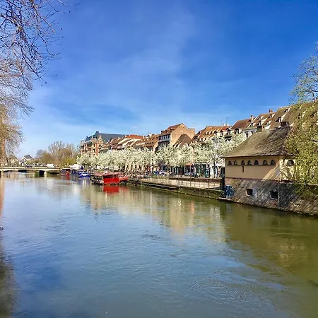 Midpoint By Life Renaissance *