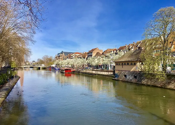 Midpoint By Life Renaissance *